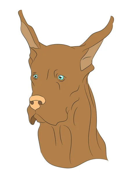 Hund Porträt Vektor Illustration Farbabbildung Vektor Weißer Hintergrund — Stockvektor