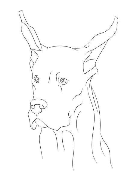 Dog Portrait Vector Illustration Line Drawing Vector White Background — Stock Vector