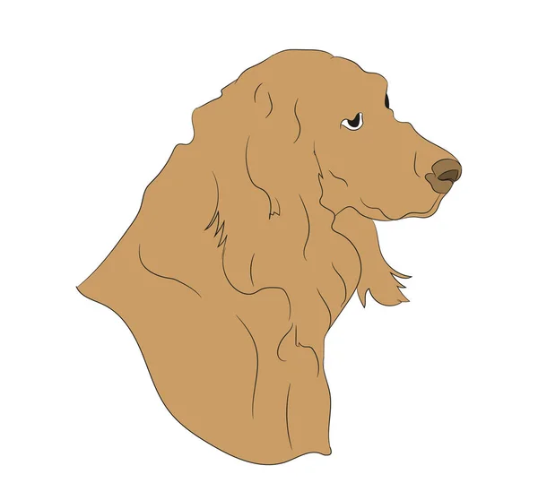 Портрет Собаки Векторна Ілюстрація Кольорова Ілюстрація Вектор Білий Фон — стоковий вектор