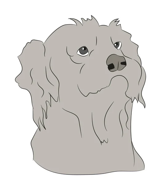 Hund Porträt Vektor Illustration Farbabbildung Vektor Weißer Hintergrund — Stockvektor