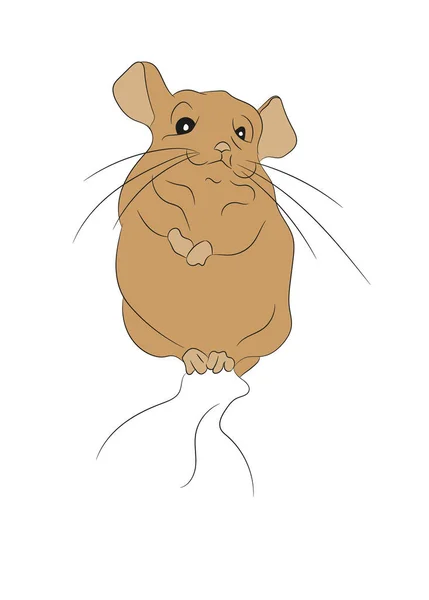 Mouse Vector Illustration Color Drawing Vector White Background — Stock Vector