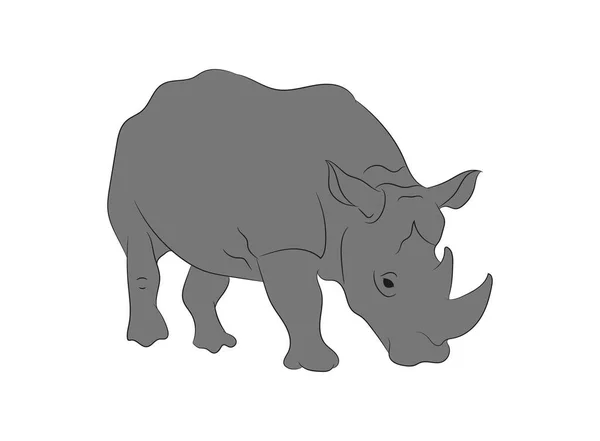 Vector Rhino Illustration Color Drawing Vector White Background — Stock Vector