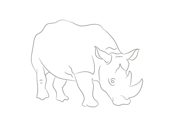 Rhino Vector Illustration Line Drawing Vector White Background — Stock Vector