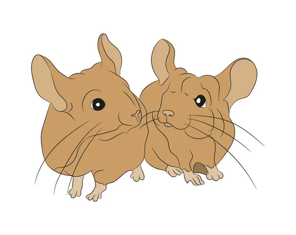 Illustrazione Vettoriale Del Mouse Disegno Colori Vettore Sfondo Bianco — Vettoriale Stock