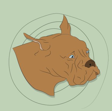 Parlak arkaplan üzerinde bir köpeğin portresinin vektör çizimi, vektör