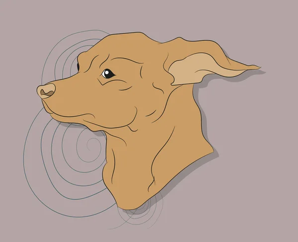 Vector Ilustración Retrato Perro Sobre Fondo Brillante Vector — Archivo Imágenes Vectoriales