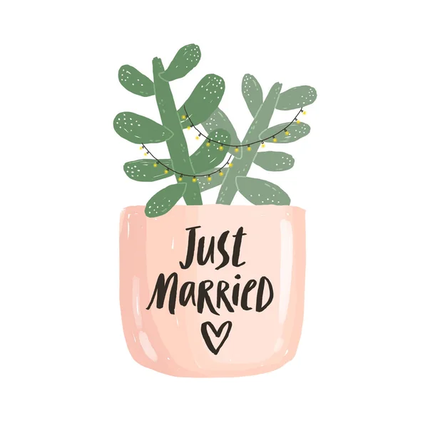 Juste Marié Illustration Pot Succulente — Photo