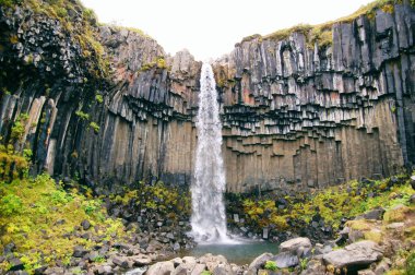 İzlanda'daki Magestic Svartifoss şelale