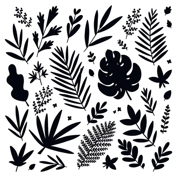 Тропические Листья Черных Силуэтов — стоковый вектор