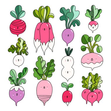 Taze tarım pazarı turpu, farklı tipler, sevimli çizgi film çizim vektör karakterleri koleksiyonu