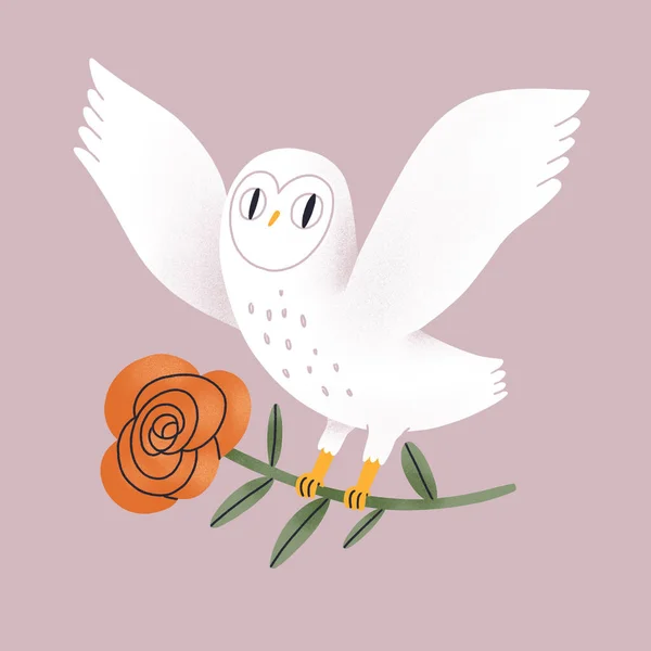 Beautiful White Owl Red Rose Hand Drawn Cartoon Illustration Isolated — Stock Photo, Image