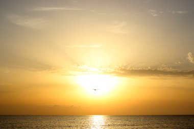 Deniz, su, kayalar, nehir, dalgalar, Güneş, günbatımı, gündoğumu, kum, Doğa, gökyüzü, bulutlar, tatil, kuş, sinek, uçuş martı, 