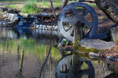 Göl doğa yaban hayatı vahşi yansıma küçük değirmen renkli yeşil su