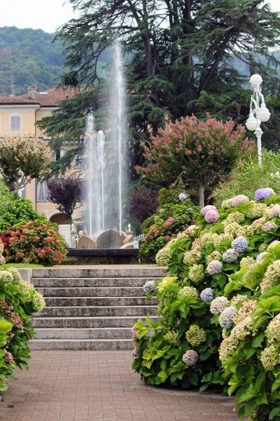 Fountain building city tourism nature green flowers summer