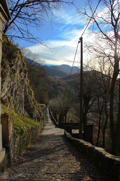 Chemin Montagne Lac Arbre Nature Paysage Horizon Panorama — Photo