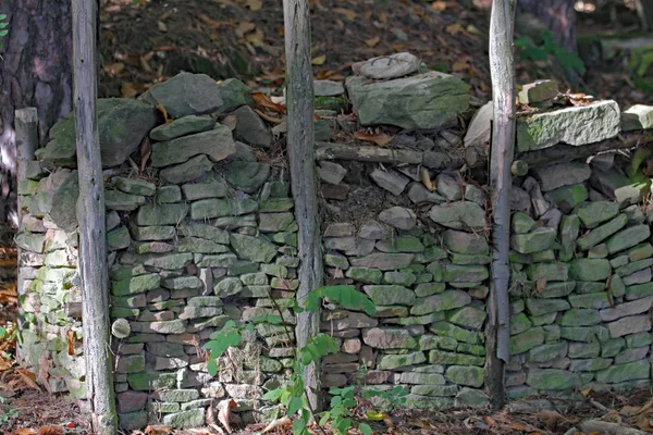 Trockenmauer Pflzer Wald — Stockfoto