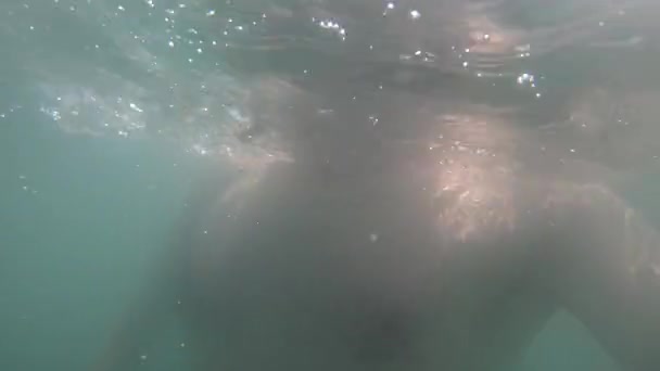 El hombre apenas nada en el agua de mar con olas en el día soleado POV — Vídeos de Stock