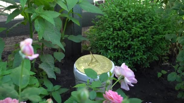 Meridiana in un giardino all'inglese sullo sfondo di rose — Video Stock