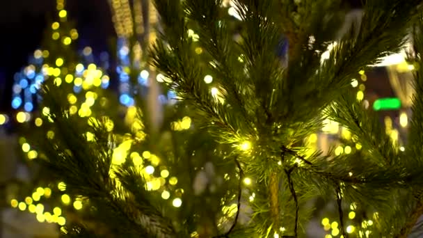 Зелене натуральне різдвяне дерево з блискучими гірляндами на тлі розмитих вогнів різдвяного ринку та ковзанок. — стокове відео