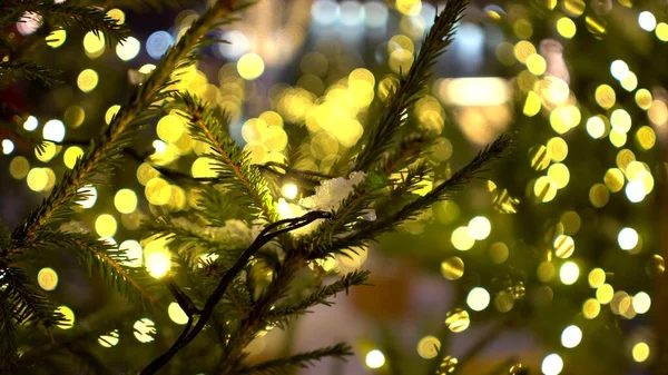 Close-up de ramos de árvore de Natal com neve decorada com luzes amarelas guirlandas no mercado de Natal — Fotografia de Stock