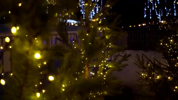 Malé vánoční stromky zdobené žlutými světélkujícími věnci v blízkosti kluziště na vánočním trhu se šmouhou — Stock video
