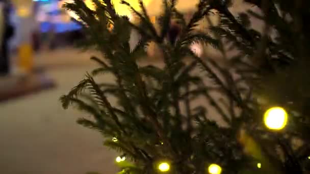 Εγκύκλιος κίνηση της κάμερας γύρω από σειρά χριστουγεννιάτικων δέντρων διακοσμημένα κίτρινα φωτεινά γιρλάντες στο παρασκήνιο της αγοράς των Χριστουγέννων θολή — Αρχείο Βίντεο