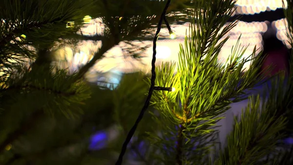 Branches d'arbre de Noël vert décorées guirlandes lumineuses jaunes sur fond de patinoire au marché de Noël floue — Photo