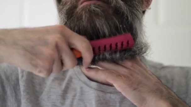 Lange half grijze baard man kammen baard in badkamer met roze kam — Stockvideo