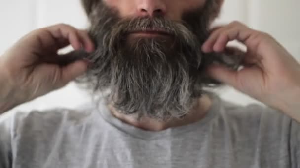 Довга борода середнього віку згладжує бороду руками, роблячи її великою і пухнастою — стокове відео