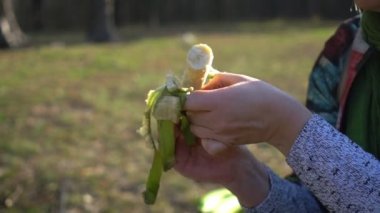 Orta yaşlı bir kadın piknik ormanında elini tutuyor, kabuğunu soyuyor ve yeşil muzu ısırıyor.