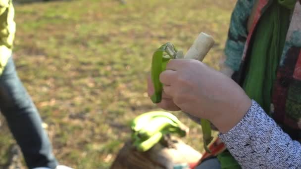 Middelbare leeftijd vrouw schilt groene banaan door handen op een picknick in het bos — Stockvideo