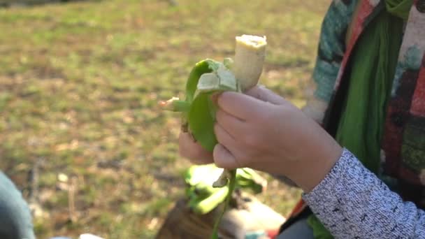 Vrouwelijke handen met manicure schillen groene biologische banaan op picknick in bos — Stockvideo