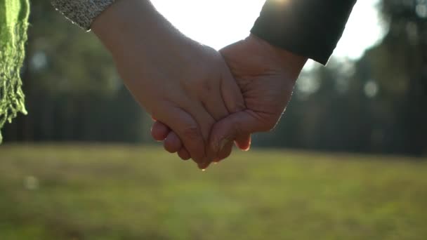 Gros plan femelle tenant la main sur fond de lumière du soleil — Video