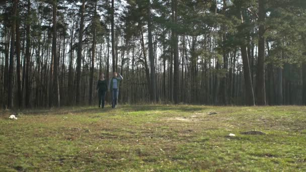 Deux femmes d'âge moyen tenant la main marchent sur la clairière forestière du bois à la caméra — Video