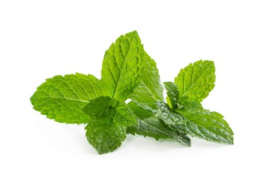 Beyaz arkaplanda izole edilmiş taze nane yaprakları.