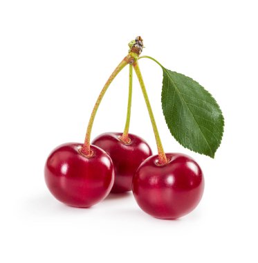 Beyaz arka plan üzerinde izole yaprak sapı üzerinde üç olgun kiraz. Büyük derinlik-in tarla