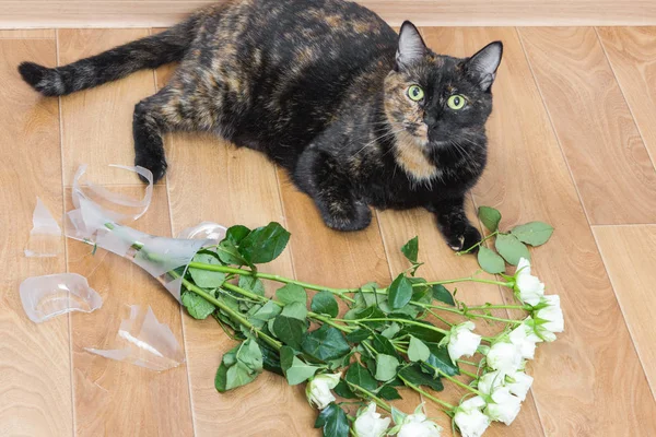 Huskatten Tappade Och Trasiga Glasvas Med Blommor Begreppet Skada Från — Stockfoto