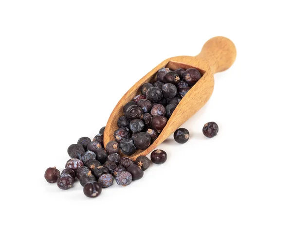 Dried Juniper Berries Wooden Spoon Isolated White Background — Stock Photo, Image