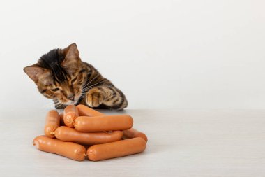 Hungry domestic cat being tempted by sausages on table clipart