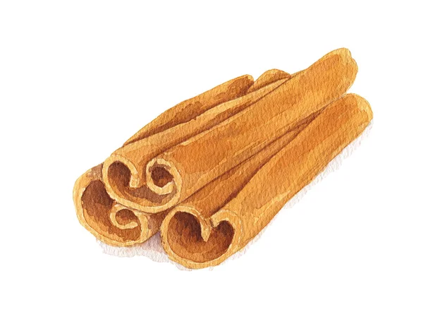 Cinnamon Sticks Isolated White Background Hand Drawn Watercolor Illustration — Stock Photo, Image