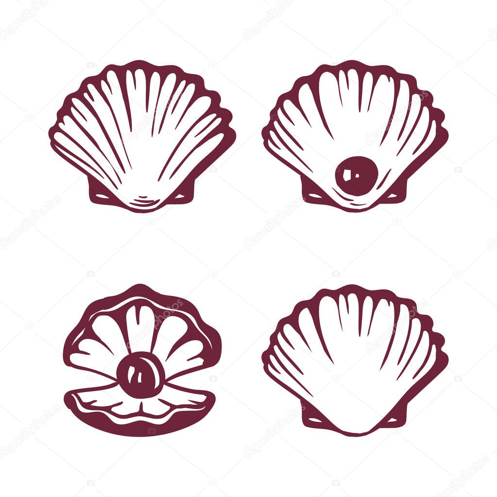 Sea shells icon set isolated on a white background