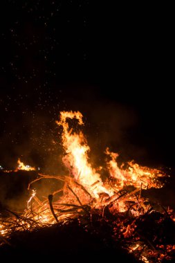 Geceleri orman yangını çimlerde ve odunlarda yanar. Yanan tehlikeli bir yer. Yakın çekim..