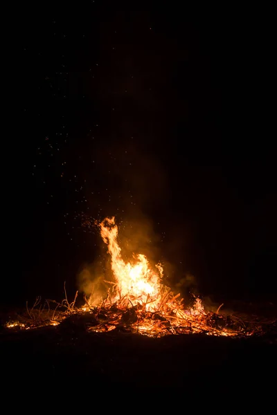 Incendie Sur Herbe Bois Nuit Endroit Dangereux Feu Plan Rapproché — Photo