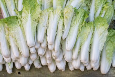 Çin'de bir pazarda Çin Lahanası Grubu