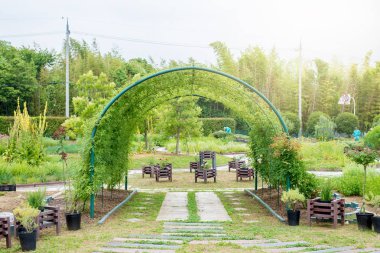 Japonya'da bahar alanında çiçek bahçesi.