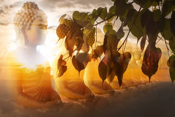 Buddha Statue Mit Doppelbelichtung Schöner Sonnenuntergang Auf Silhouette Bodhi Blatt — Stockfoto