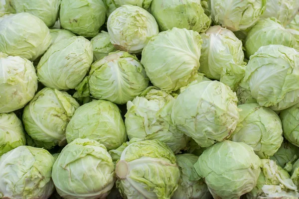 Grünkohlgruppe Auf Einem Markt China — Stockfoto