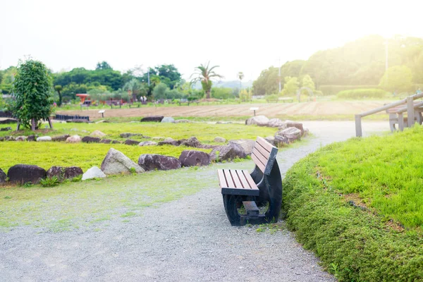 Una Sedia Lunga Nel Giardino Dei Fiori Bella Springfield Giappone — Foto Stock