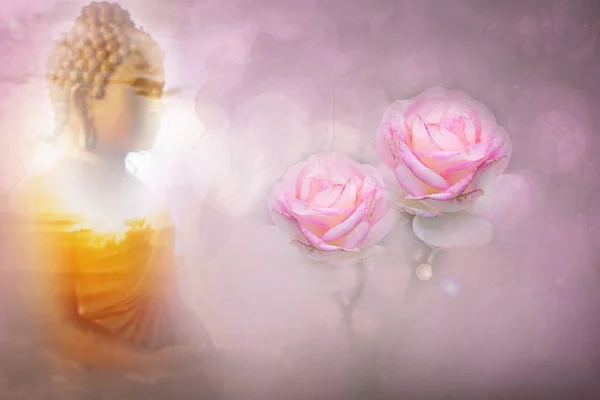 Rosa rosas color estilo suave para fondo bokeh dulce con copia Imágenes de stock libres de derechos