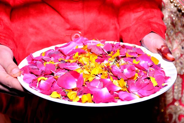 Женщина Держит Пластину Лепестков Роз — стоковое фото